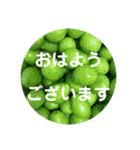 seasons of joy（個別スタンプ：1）