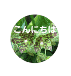 seasons of joy（個別スタンプ：2）