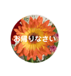 seasons of joy（個別スタンプ：4）