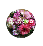 seasons of joy（個別スタンプ：5）