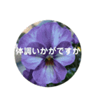 seasons of joy（個別スタンプ：6）