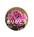 seasons of joy（個別スタンプ：7）