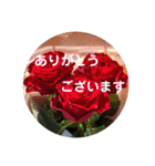 seasons of joy（個別スタンプ：8）