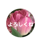 seasons of joy（個別スタンプ：11）