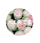 seasons of joy（個別スタンプ：13）