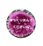 seasons of joy（個別スタンプ：18）