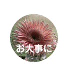 seasons of joy（個別スタンプ：20）