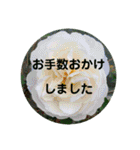 seasons of joy（個別スタンプ：21）