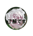 seasons of joy（個別スタンプ：22）