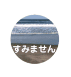 seasons of joy（個別スタンプ：23）