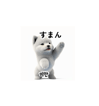 韓国語会話 サモエド犬KRJP swQ（個別スタンプ：25）