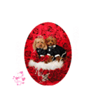 4わんずのほのぼのスタンプ（個別スタンプ：10）
