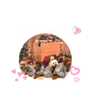 4わんずのほのぼのスタンプ（個別スタンプ：11）