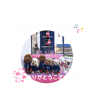 4わんずのほのぼのスタンプ（個別スタンプ：13）