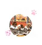4わんずのほのぼのスタンプ（個別スタンプ：16）