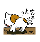 哀愁のコロ助（修正版）（個別スタンプ：3）