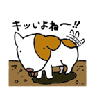 哀愁のコロ助（修正版）（個別スタンプ：8）