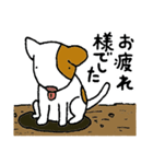 哀愁のコロ助（修正版）（個別スタンプ：19）