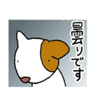 哀愁のコロ助（修正版）（個別スタンプ：24）