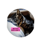 「～すべき」が口癖の奴ろくな努力してない（個別スタンプ：2）