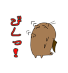 デュビアくん（個別スタンプ：11）