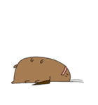 デュビアくん（個別スタンプ：33）