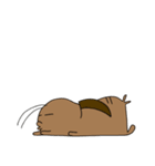 デュビアくん（個別スタンプ：34）