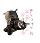 たっちゃん毎日スタンプ（個別スタンプ：18）