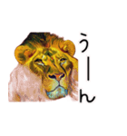 油絵タッチのライオンのスタンプ（個別スタンプ：1）