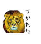 油絵タッチのライオンのスタンプ（個別スタンプ：26）