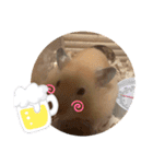 ぷんスタンプ+②（個別スタンプ：6）