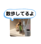 ぷんスタンプ+②（個別スタンプ：26）