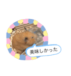 ぷんスタンプ+②（個別スタンプ：29）