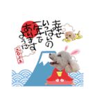 あずきちゃん❤︎❤︎お正月＆クリスマス（個別スタンプ：3）