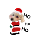 あずきちゃん❤︎❤︎お正月＆クリスマス（個別スタンプ：5）