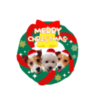 あずきちゃん❤︎❤︎お正月＆クリスマス（個別スタンプ：7）
