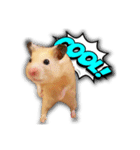 Ham Pacino（ハムパチーノ）（個別スタンプ：2）