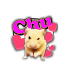 Ham Pacino（ハムパチーノ）（個別スタンプ：5）