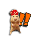 Ham Pacino（ハムパチーノ）（個別スタンプ：10）