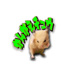 Ham Pacino（ハムパチーノ）（個別スタンプ：16）