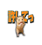 Ham Pacino（ハムパチーノ）（個別スタンプ：17）