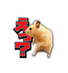 Ham Pacino（ハムパチーノ）（個別スタンプ：19）