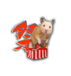 Ham Pacino（ハムパチーノ）（個別スタンプ：24）