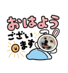 柴犬みく（個別スタンプ：35）