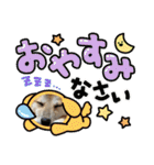 柴犬みく（個別スタンプ：38）