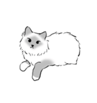 にけにけキャットドローイング（個別スタンプ：6）