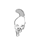 にけにけキャットドローイング（個別スタンプ：9）