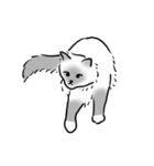にけにけキャットドローイング（個別スタンプ：10）