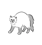 にけにけキャットドローイング（個別スタンプ：11）