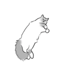 にけにけキャットドローイング（個別スタンプ：13）